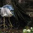 thumbs/IMG_1570.jpg